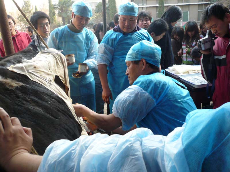 畜牧兽医专业实践教学